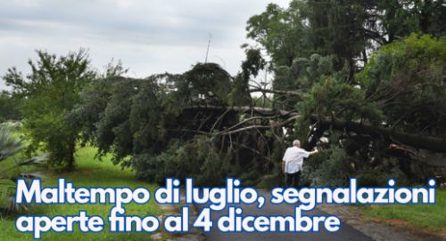 Danni da grandine e maltempo, pubblicato il bando per risarcimenti