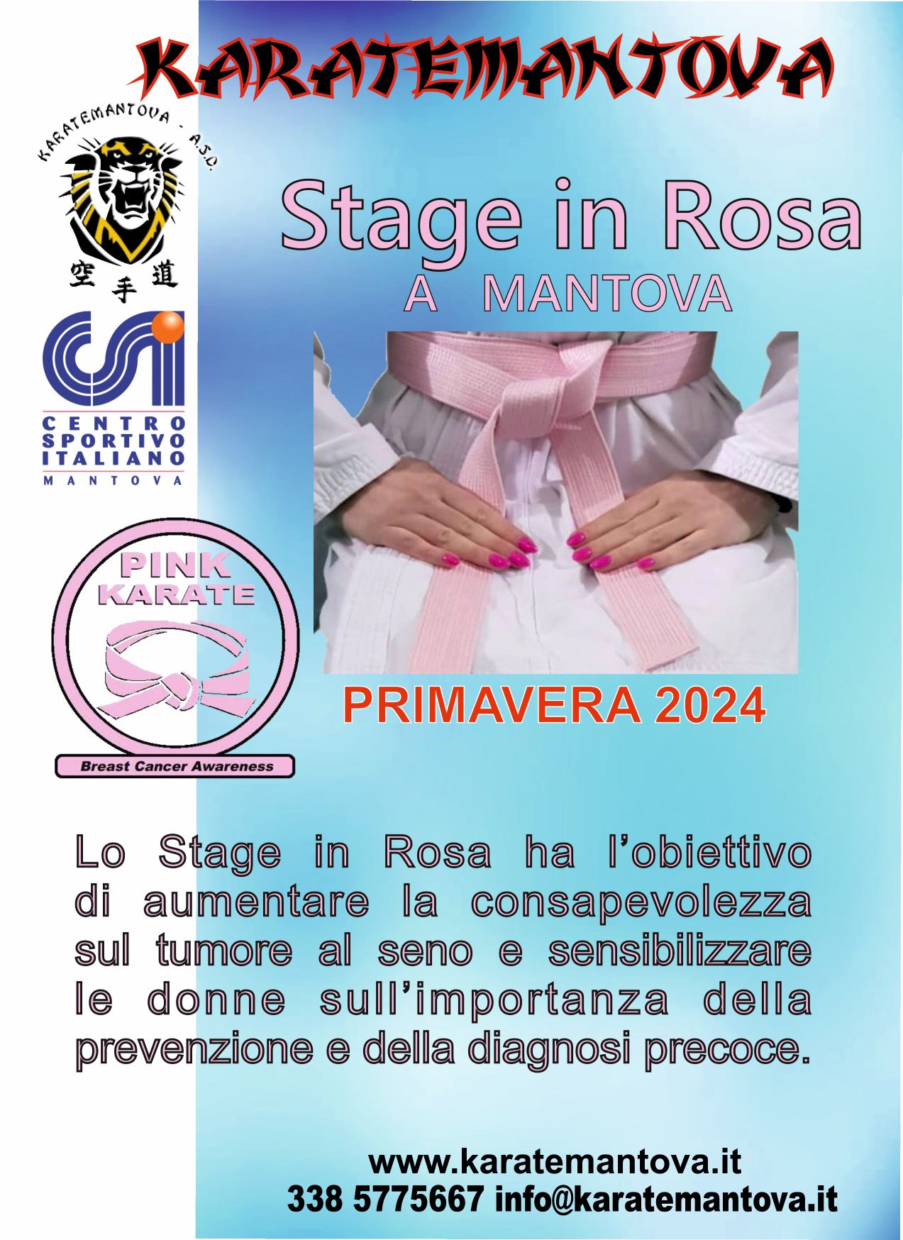 Locandina Stage in Rosa