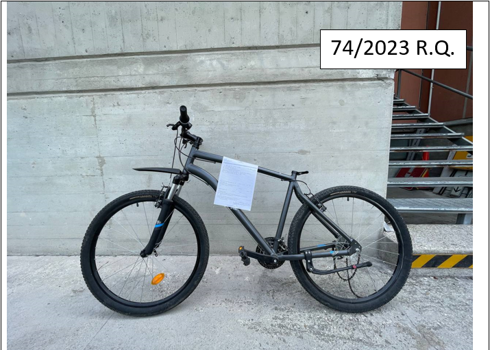 74/2023