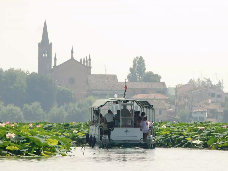 Navigazione fluviale