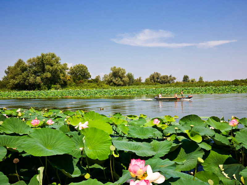 Itinerari d'acqua e natura