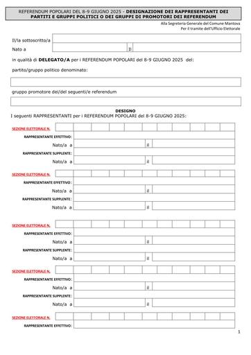 Designazione collettiva dei rappresentanti dei partiti e gruppi politici o dei gruppi di promotori dei referendum