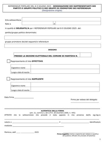 Designazione singola dei rappresentanti dei partiti e gruppi politici o dei gruppi di promotori dei referendum