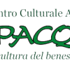 Logo Papacqua png-1